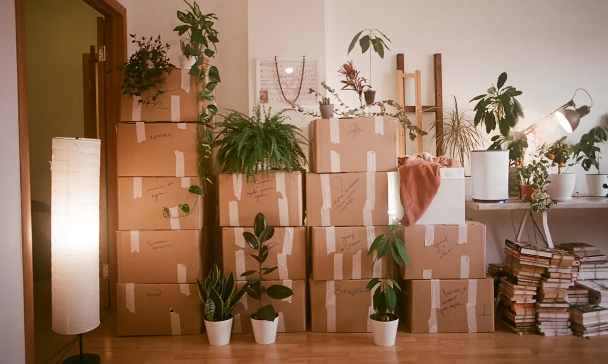 Boxed household belongings stacked in a room during a clear-out