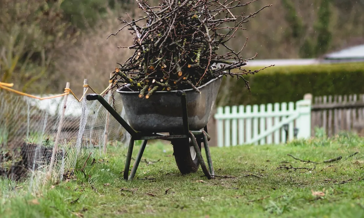 Wheelbarrow loaded with garden trimmings and twigs